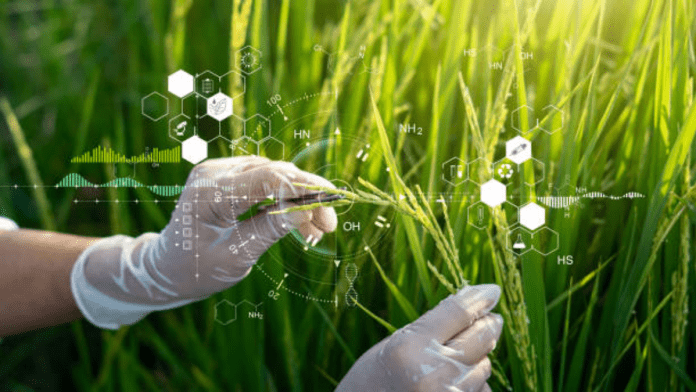 Brexit: UK Scientists Excited To Rejoin EU's Horizon Research Programme