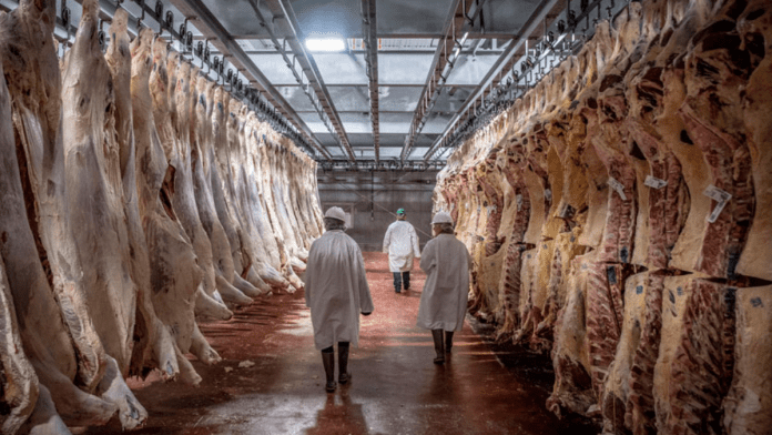 USDA Lowers 2023 Meat Production Forecasts