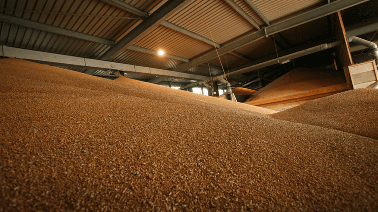 Implications Of EU-Ukraine Free Trade Proposal For Nigerian Grain Producers