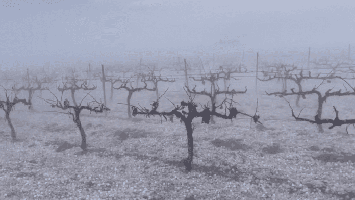 Hailstorm In Valencia, Spain, Destroys $43M Worth Of Crops