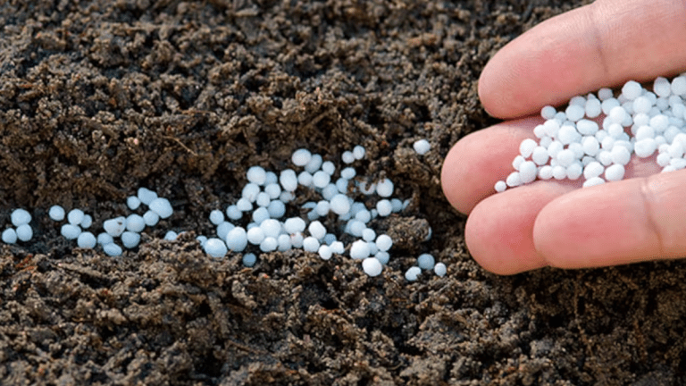 UK Fertiliser Prices Climb As Energy Costs Surge, Global Supplies Tighten