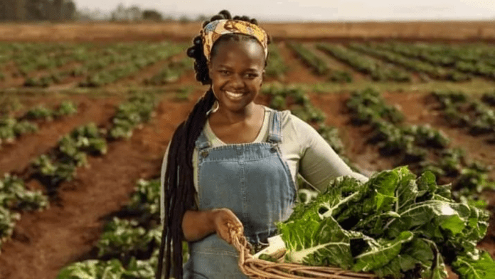 Nigeria Seeks US Assistance To Address Agricultural Challenges