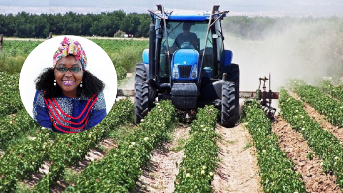 Increased Women Involvement In Agriculture Can Boost Nigeria Productivity