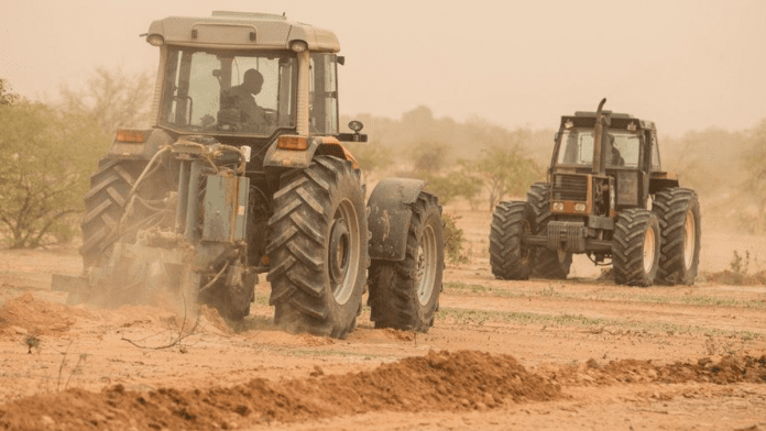 Nigerian FG Plows Ahead With Dry Season Farming Initiative, Targets 500,000 Hectares In 2024
