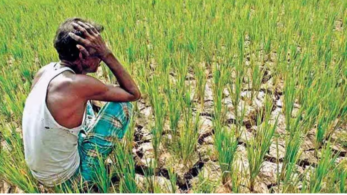 Thailand Approves $900M Plan To Suspend Debt Payments for Farmers For 3 Years