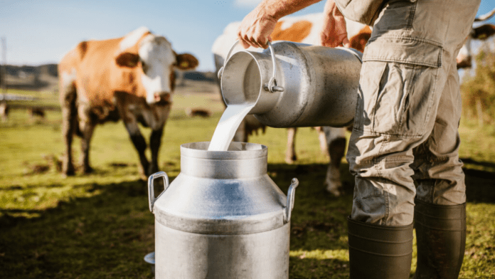 US Milk Production Dips As Dairy Herd Shrinks For Fourth Consecutive Month