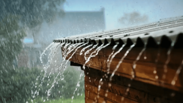 Farmers in Nigeria's Northern Region Bemoan Heavy Crop Loss Due To Erratic Rainfall