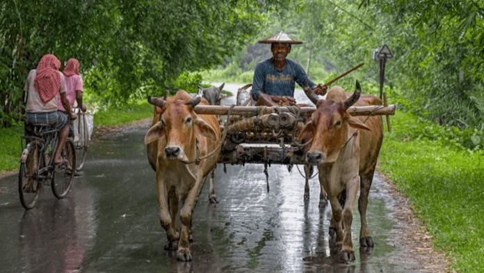 India Lowest Monsoon Rainfall In 5 years To Hit Agricultural Production, Raise Food Inflation