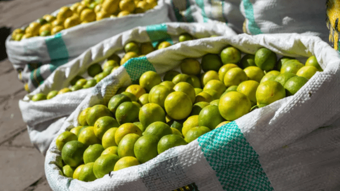 El NiÃ±o Wrecks Peru Fruit Crops, Agricultural Exports