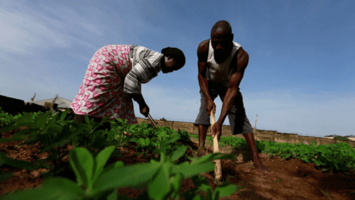 Insights On Nigeria's Real Agricultural GDP (Q2 2023 Updates)