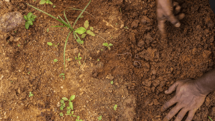 FG, IFAD Partner To Distribute Farm Inputs To Over 600 Nasarawa Farmers