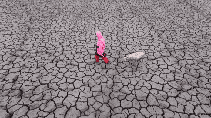 Natural Disasters Responsible For â¬3.6T Worth Of Agricultural Losses In Last 30 Years