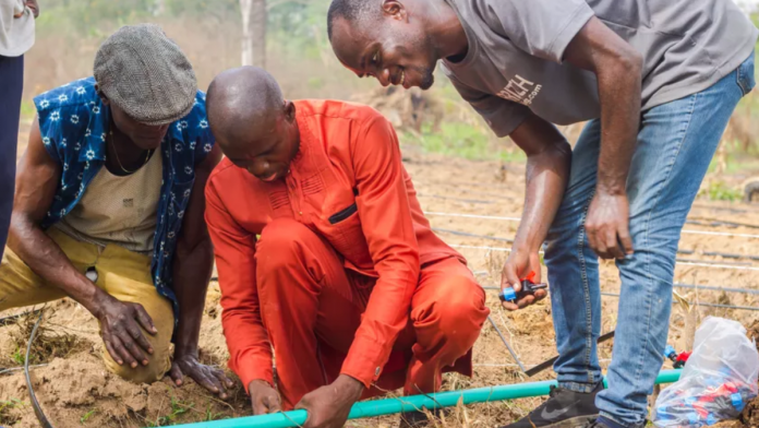 Nigeria Partners Netherlands To Address Agricultural Challenges, Improve Food Security