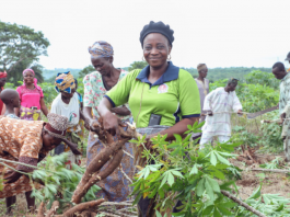 Nigerian To Subsidise Agricultural Inputs By 50% To Support Dry Season Farming