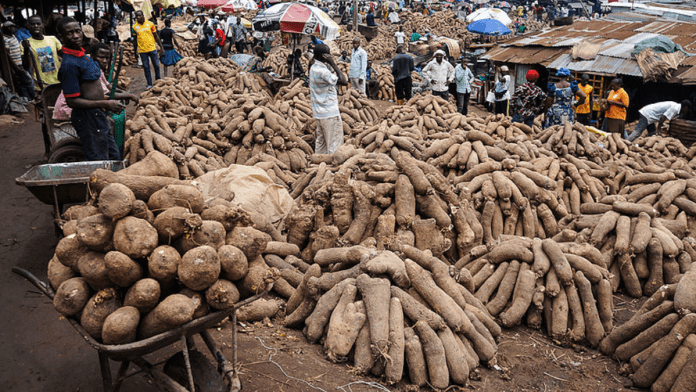 Nigeria's House Of Reps Push For Yam Produce Export Boost