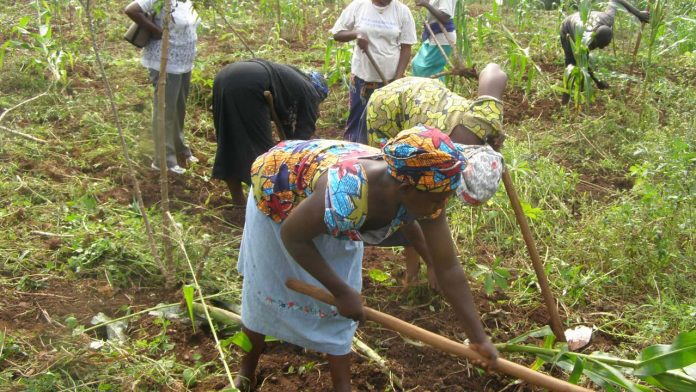 2024 Budget: Nigerian Senate Calls For 10% Allocation To Agriculture Sector
