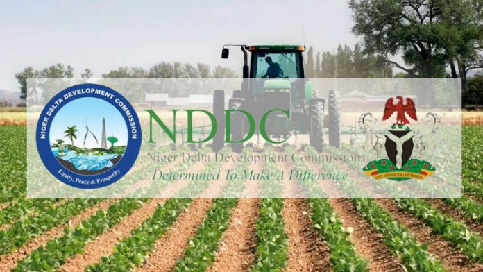 NDDC Joins Forces With Large-Scale Farms To Boost Food Security In Niger Delta