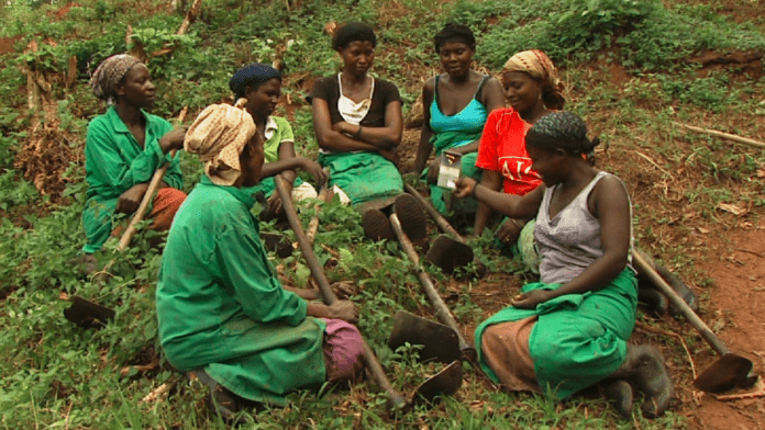 UK Plows Â£95M Into Climate-Smart Propcom+ Agriculture Programme For 4 Million Nigerians