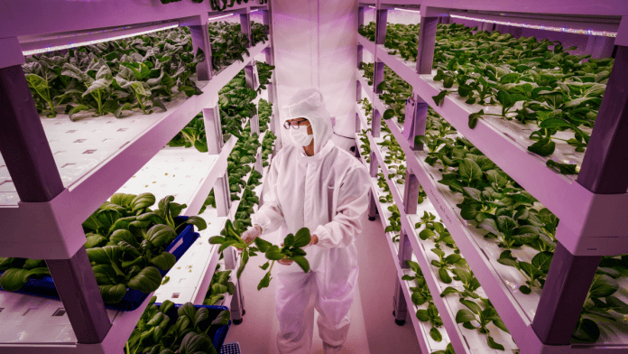 China Unveils World's First AI-Powered Vertical Farm With 20 Storeys