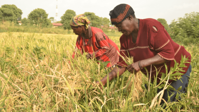 US Secretary Of State Commends Africa's Efforts To Become Global Food Hub