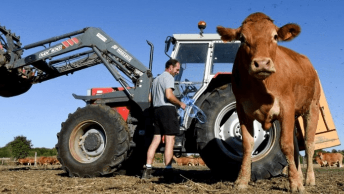 France Enacts Law To Shield Farmers From Noise, Odour Complaints