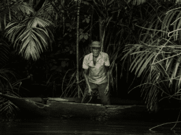 LIFE-ND Project Injects Over $20m Into Niger Delta Rural Economy