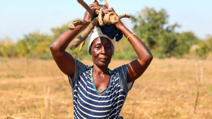 Russia Delivers Year's Worth Supply Of Free Fertiliser To Zimbabwe