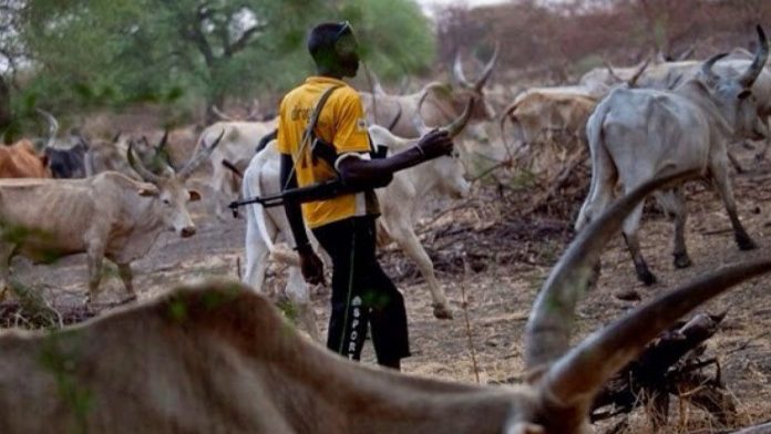 Light Arms Proliferation Worsening Nigeria's Farmer-Herder Conflicts â Warns IPCR