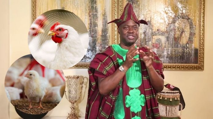 Oyo State Cracks Down On Poultry Businesses To Curb Zoonotic Diseases, Safeguard Food