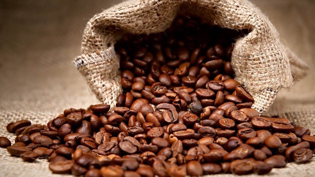 Coffee Exporters Face EU Squeeze As Deforestation Law Looms