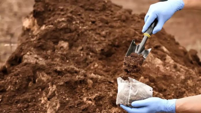 Scientists Unleash Electronic Soil, Promising 50% Faster Crop Growth