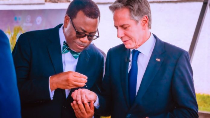 AfDB, US Strengthen Ties To Boost Food Production In Africa