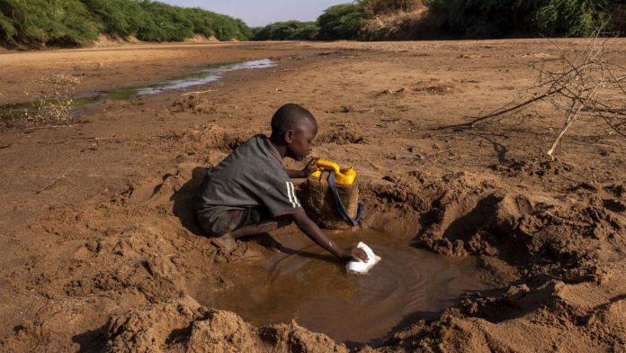 Nigerian Agribusiness Group Pushes For Climate-Smart Agriculture To Combat Climate Change