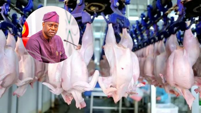 Oyo state governor seyi makinde Poultry slaughter