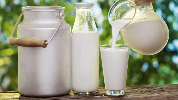 FrieslandCampina-Led Consortium Secures $5 Million Grant To Boost Nigeria's Dairy Sector