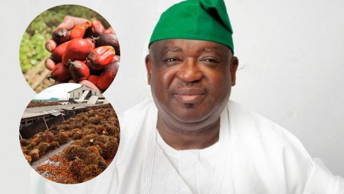 Plateau State, COPASC Partner For 4,000-Hectare Oil Palm Plantation