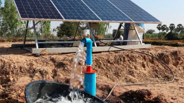 HortiNigeria Project Empowers Farmers With Solar Power For Sustainable Irrigation