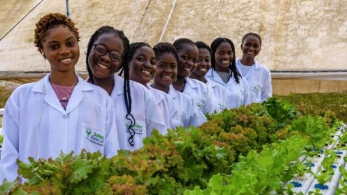 FG Urges Agriculture Colleges To Prioritise Vocational Training For Food Security