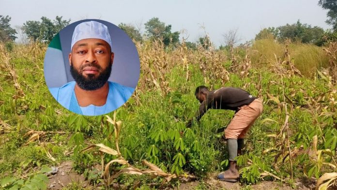 Niger State Is Frontrunner In Nigeria's Food Security Drive