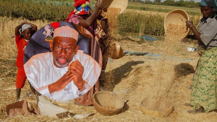 Nigeria FG's Agricultural Policies Pave Way For Wheat Self-Sufficiency, Exports - Jigawa Governor