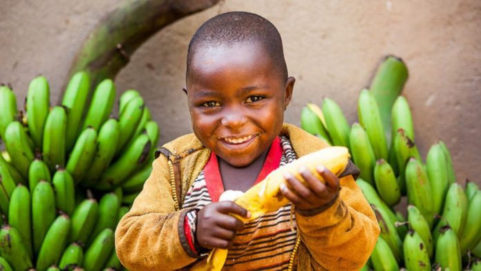 Burundi Economy Projected To Grow 4.3% in 2024, Driven By Agriculture