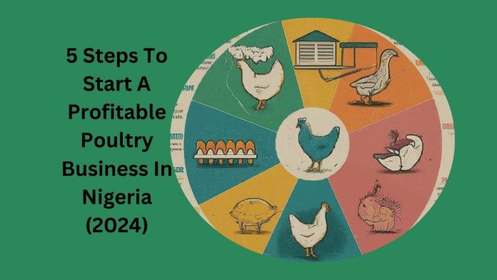 5 Steps To Start A Profitable Poultry Business In Nigeria (2024)