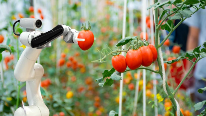 Agrifood SMEs in Western Australia to get innovation boost from CSIRO