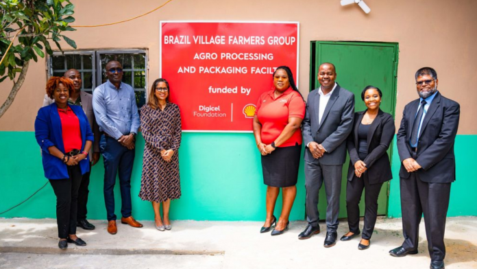 Agro-processing facility
