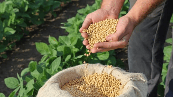 Natural pesticides in Soy farming