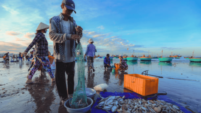 unsustainable fishing practices