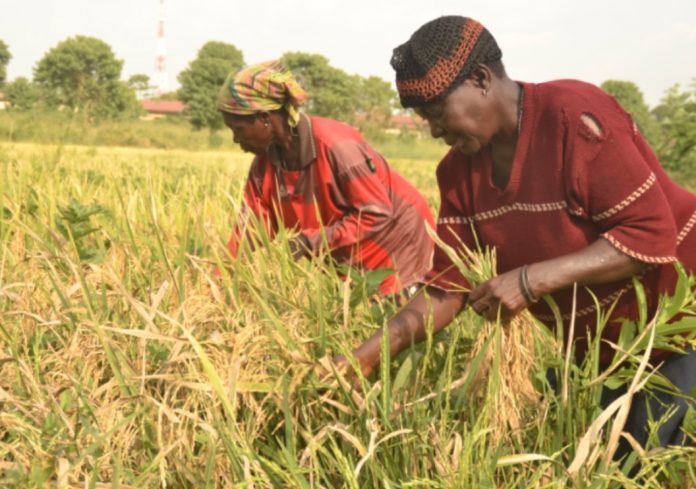 Food Security