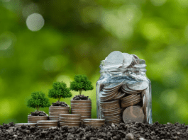 Investment In Food Sustainability