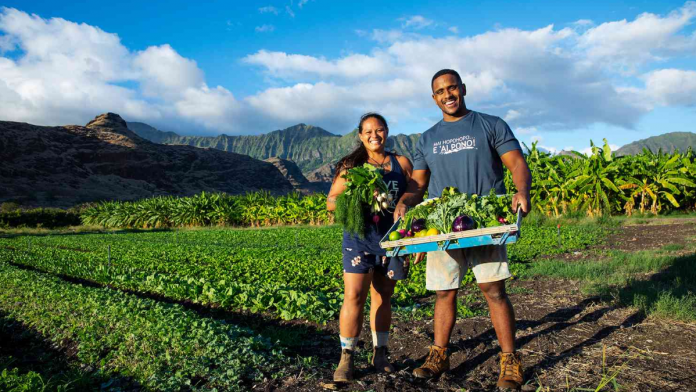 Hawaii's specialty crops