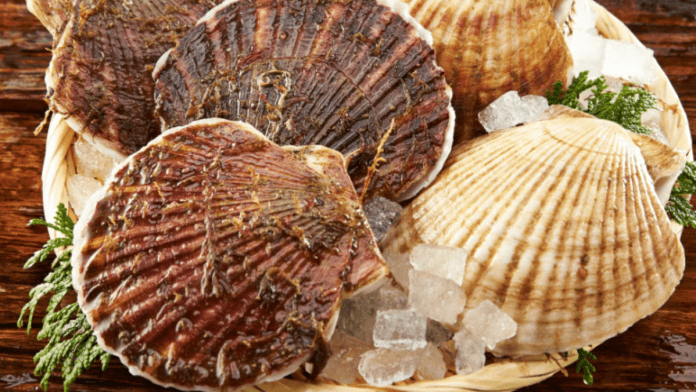 Hokkaido scallops